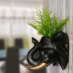 2-in-1 Hanging Plant Pot // Elephant (Black + Gold)