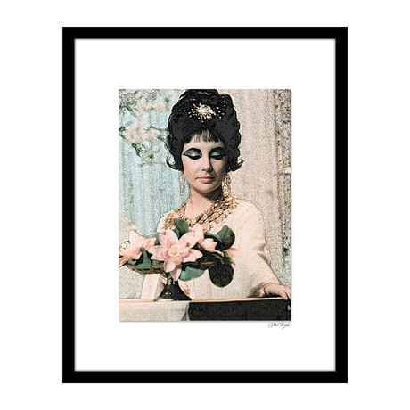 Elizabeth Taylor Wall Art (12"W x 16"H x 2"D)