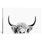 Peeking Cow In Black & White // Sisi & Seb (18"W x 12"H x 0.75"D)