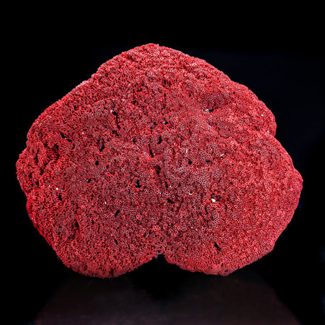 Genuine Red Pipe Organ Coral II