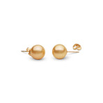 Golden South Sea Pearl Earrings // 10.0-11.0mm AAA (14K White Gold)