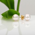 Akoya Pearl Earrings // 8.5-9.0mm AA+ (14K White Gold)