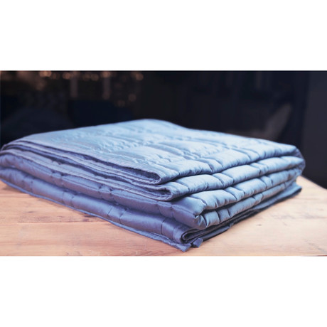 Weighted Blanket // Minky Cover // Blue // 12lbs