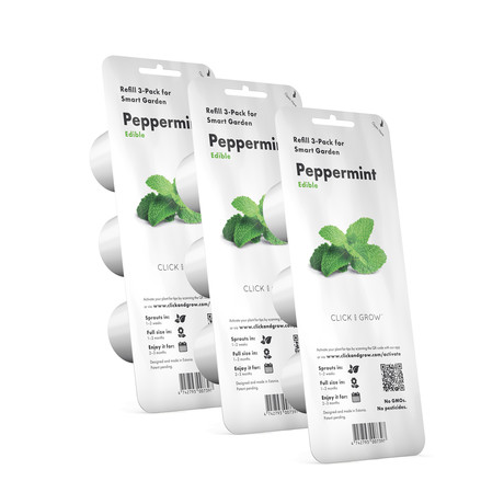 Refill // 3 Pieces // Peppermint // Set of 3