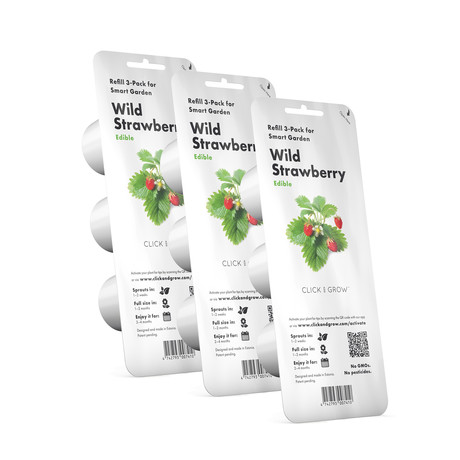 Refill // 3 Pieces // Wild Strawberry // Set of 3