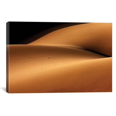 Desert And The Human Torso // Ebrahim Bakhtari Bonab (18"W x 12"H x 0.75"D)