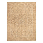 Antalya Vintage Dark Beige Rug // 9'8" x 12'7"