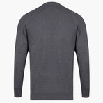 Woolen Crewneck Sweater // Gray (M)