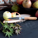 Olive Peeling Knife