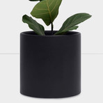 Large Black Planter (9")