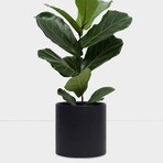 Large Black Planter (9")