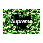 How Do You Sleep (16"W x 24"H x 2"D)