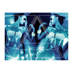 Prism Twins (18”W x 24"H x 2"D)