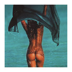 Apple (12"W x 12"H x 2"D)