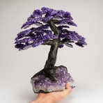 The Protection Tree II // Custom Designed // Genuine Amethyst Tree + Amethyst Matrix