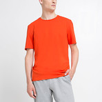 Solid T-Shirt // Orange (M)