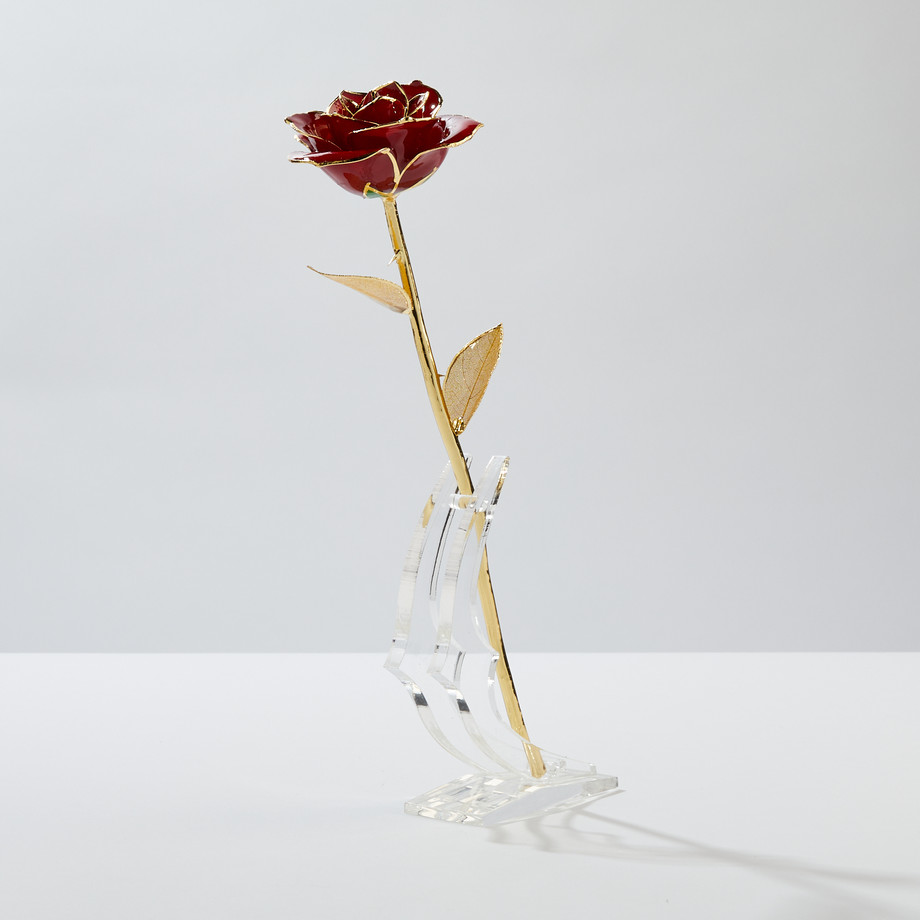 Eternal Rose - Everlasting Gold Dipped Roses - Touch of Modern