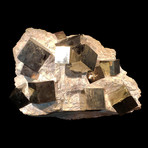 Pyrite Cubes on Basalt
