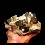 Pyrite Cubes on Basalt
