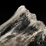 Large Natural Selenite Crystal + Metal Stand