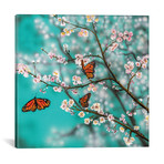 Butterflies And Blossoms (12"W x 12"H x 0.75"D)
