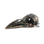 Crow Skull Locket (Bronze // 20" Gunmetal Chain)