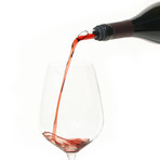 Pourist: Glass + Cork Bottle Pourers // Pair