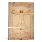 Vitruvian Man, c. 1490 // Leonardo da Vinci