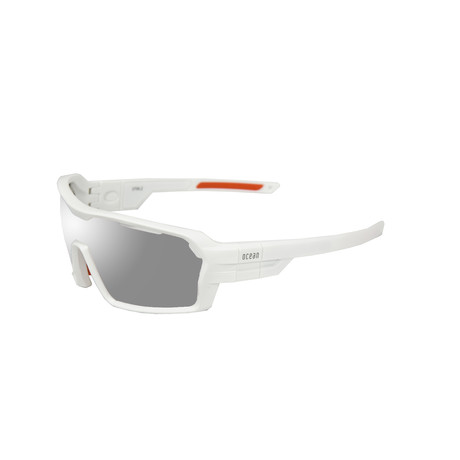 CHAMELEON Sport Glasses (Matte Black Frame with Smoke Lens)