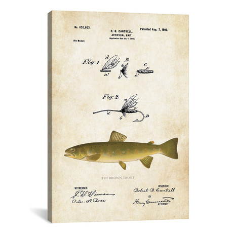 Brown Trout Fishing Lure (12"W x 18"H x 0.75"D)