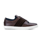 Jordan Plimsoll // Brown (UK 8)