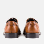 Ealing2 Brogue // Tan (UK 12)