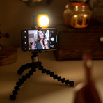 Lighting Kit // Streaming + Video Conferencing