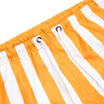 Swim Short Collection // Ipanema Orange (L)