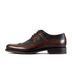 Preston Dress Shoe // Brown (Euro: 45)