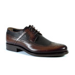 Preston Dress Shoe // Brown (Euro: 40)