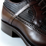Preston Dress Shoe // Brown (Euro: 44)