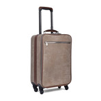 Two-Tone Suitcase // Beige + Brown