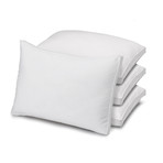 Luxury Plush Allergy Pillow // Set of Four (Standard)