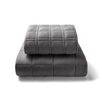 T233 Mink Weighted Blanket // 20Lb