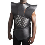 Unsullied Armor