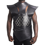Unsullied Armor