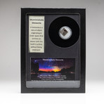 Genuine Muonionalusta Meteorite + Display Frame