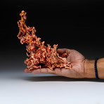 Genuine Copper Abstract Sculpture