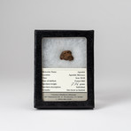 Agondal Meteorite + Display Box