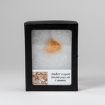 Amber Nugget + Display Box