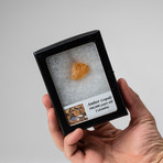 Amber Nugget + Display Box