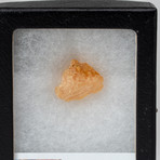 Amber Nugget + Display Box