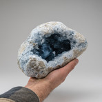 Blue Celestite Geode