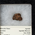 Agondal Meteorite + Display Box